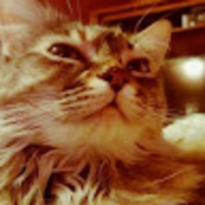 Meet your Posher, Marisa